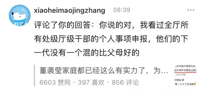 [转贴]董袭莹这样的家世，为什么也要当小四？